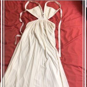 Backless Long Gown - BCBGMAXAZRIA